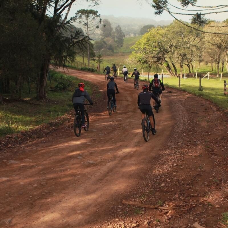 Circuito das Araucárias